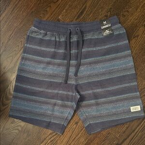 O'Neill Blue and Gray Casual Shorts-NWT